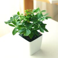 æè´¢æ 