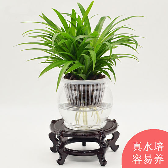 æ°´å¹åå°